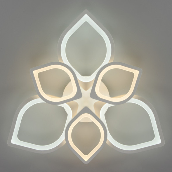 Потолочная люстра Eurosvet GARDEN 90228/6 белый