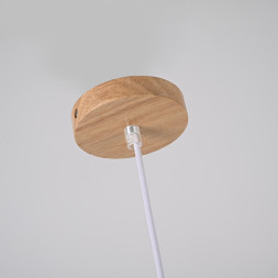 Подвесной светильник ImperiumLoft 178214-26 Xd-B