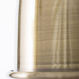 Настольная лампа Arte Lamp A2054 A2054LT-1AB