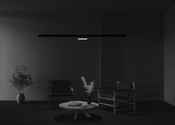 Магнитный трековый светильник Maytoni Technical Basis Rot TR036-2-12W4K-B