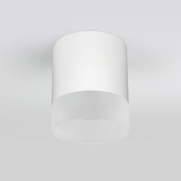 Накладной уличный светильник Elektrostandard Light LED 2107 (35140/H) белый