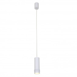 Подвесной светильник Favourite Kinescope 2453-1P