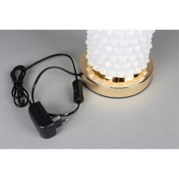 Настольная лампа APLOYT APL.332.04.10 Ozeynn