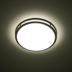 Потолочный светильник Citilux Бостон CL709505N