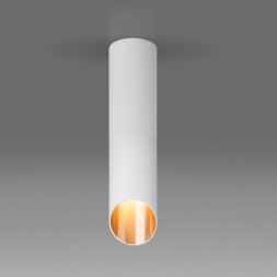 Накладной точечный светильник Elektrostandard DLN115 GU10 белый/золото