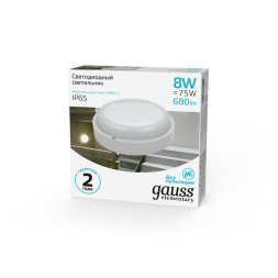 Пылевлагозащищенный светильник Gauss 126411208 ЖКХ