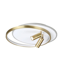 Потолочный светильник LUMION NAOKO 5603/63CL