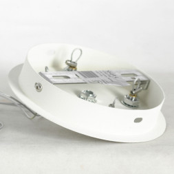 Подвесная люстра Lussole ALLEN LSP-8716