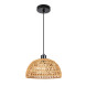 Подвесной светильник A7086SP-1BK ARTE Lamp BRUSHWOOD