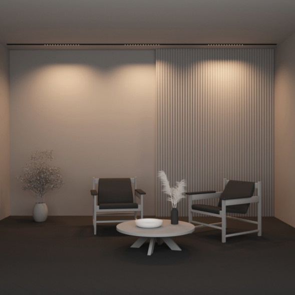 Магнитный трековый светильник Maytoni Technical Points TR174-1-24WTW-M-B