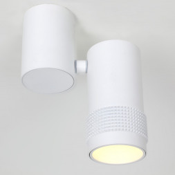 Спот Favourite Kinescope 2453-1U