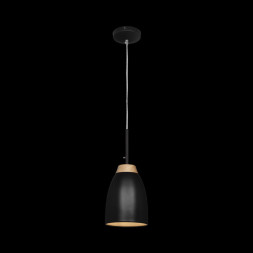 Подвесной светильник LOFT IT Watchman LOFT4402A-BL