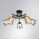 Потолочная люстра ARTE Lamp A5078PL-5BK Glassy