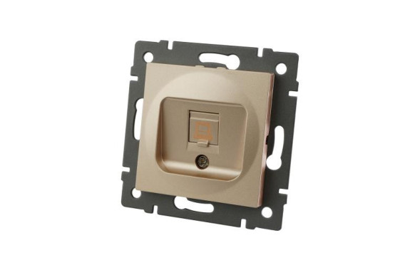 Розетка Arlight 049849 SCT-MPC1