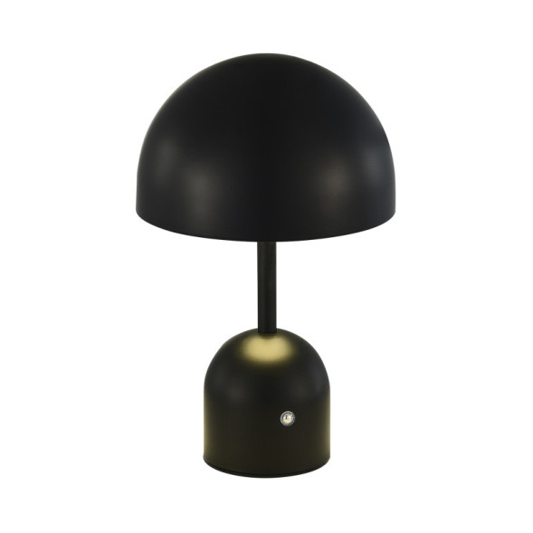 Настольная лампа Evoluce SLE1806-404-01 Eclat