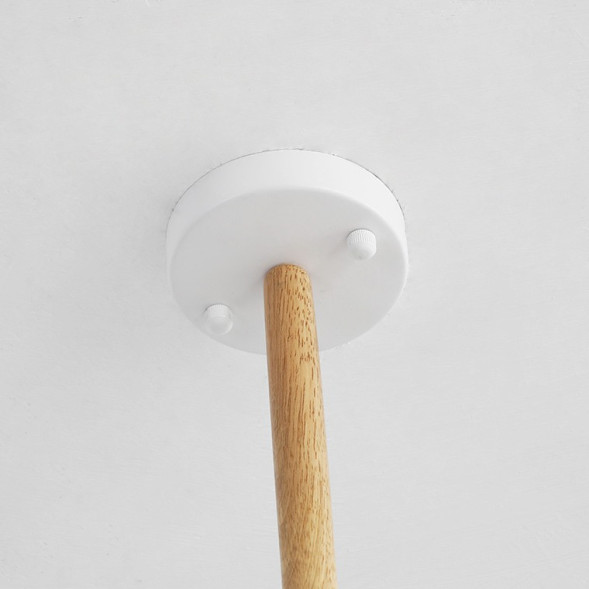 Подвесная люстра ImperiumLoft 207822-26