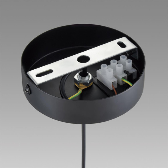 Подвесной светильник LUMION ISHA 8101/1A