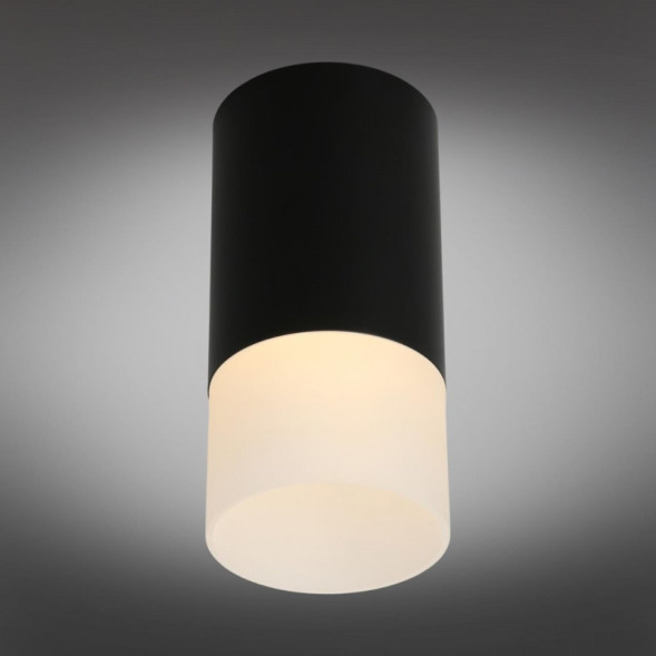 Накладной точечный светильник Omnilux Omnilux 100 OML-100619-01