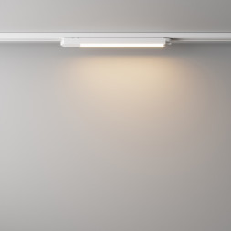 Светодиодный трековый светильник Maytoni Technical BASIS TR000-1-12W3K-W