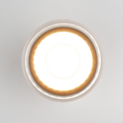 Накладной уличный светильник Elektrostandard Light LED 2107 (35140/H) серый