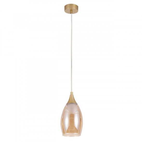Подвесной светильник ARTE Lamp Barry A7951SP-1GO