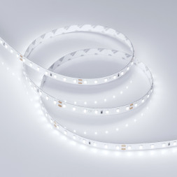 Лента Arlight RT-A98-8mm 2835 019913(2) 50W 24V 6250lm белый (холодный) IP20