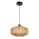 Подвесной светильник A7087SP-1BK ARTE Lamp BRUSHWOOD