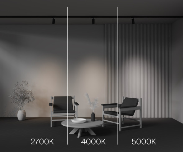 Светодиодный трековый светильник Maytoni Technical FOCUS LED TR197-3-12WCCT-M-B