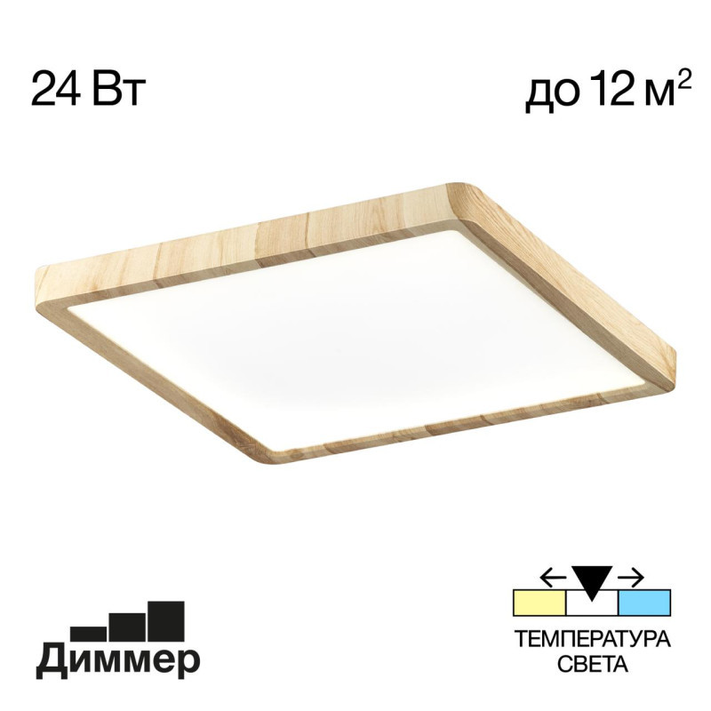Потолочный светильник Citilux Бейсик CL738K242V