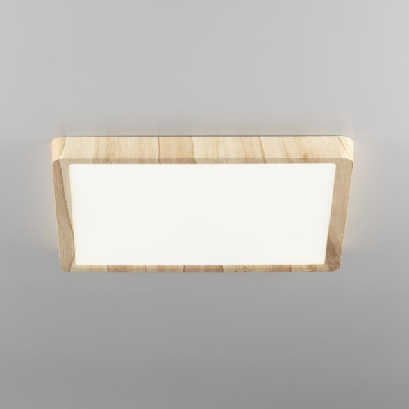 Потолочный светильник Citilux Бейсик CL738K242V