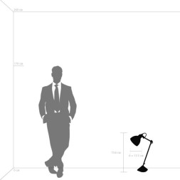 Настольная лампа Lightstar LOFT 865916