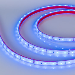 Лента Arlight RTW-PFS-A60-11mm 2835 034012 24W 12V синий IP68