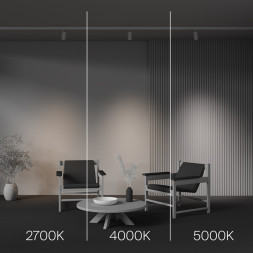 Светодиодный трековый светильник Maytoni Technical FOCUS LED TR197-3-12WCCT-M-W