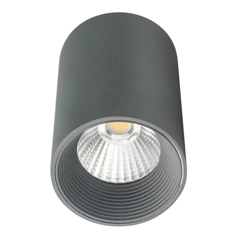 Накладной точечный светильник Escada 20003SMU/01LED SGY