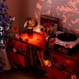 Настольная лампа Freya ELEON FR5218TL-01BS