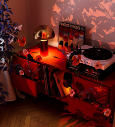 Настольная лампа Freya ELEON FR5218TL-01BS