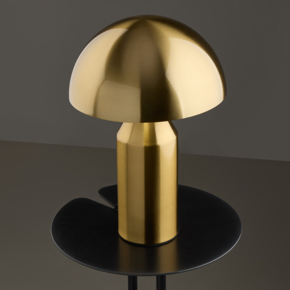 Настольная лампа Freya ELEON FR5218TL-01BS