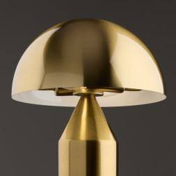 Настольная лампа Freya ELEON FR5218TL-01BS