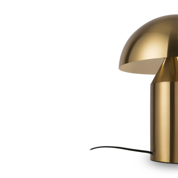 Настольная лампа Freya ELEON FR5218TL-01BS