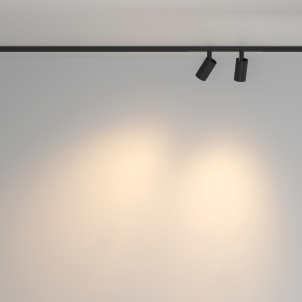 Магнитный трековый светильник Maytoni Technical Focus Duo TR176-1-2X5WTW-M-B