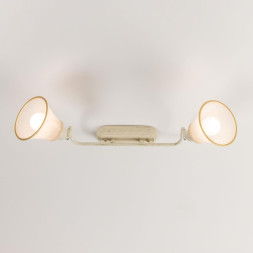 Спот Citilux Прованс CL511524