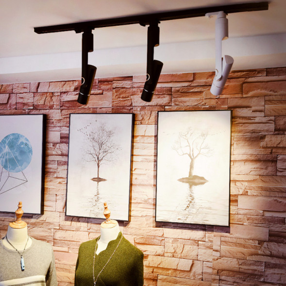 Светодиодный трековый светильник ARTE Lamp ORION A2512PL-1WH