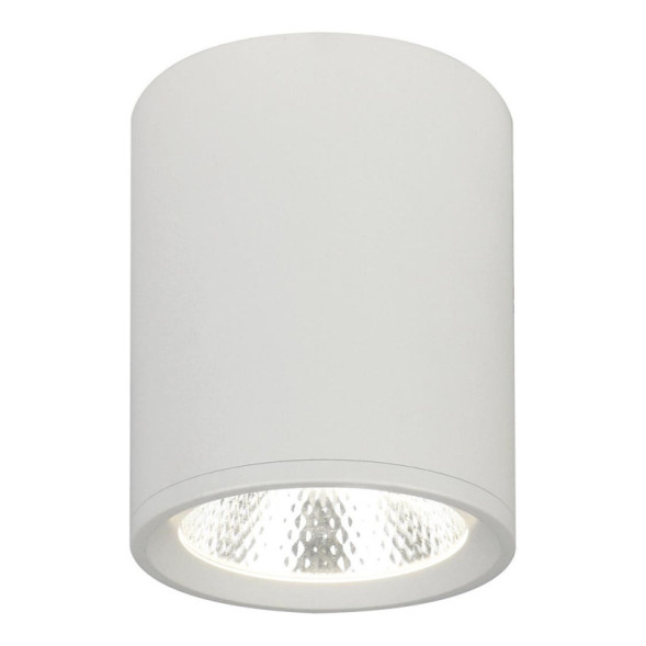 Накладной точечный светильник Escada 20003SMU/02LED SWH