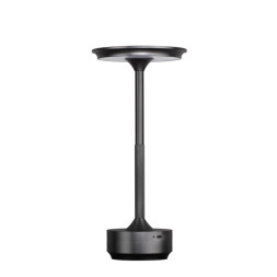 Настольная лампа Odeon Light L-VISION 5034/6TL