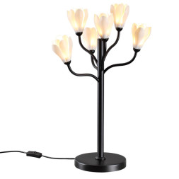 Настольная лампа Odeon Light 5090/6T GARDI