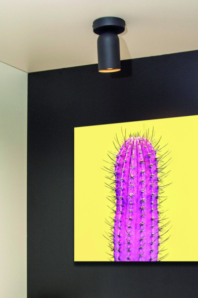 Спот LUCIDE PUNCH 13958/01/30