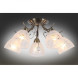 Потолочная люстра Omnilux Omnilux 538 OML-53807-05