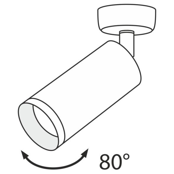 Спот Maytoni Technical FOCUS C017CW-01MG