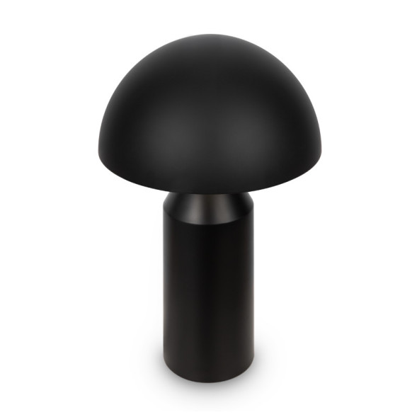 Настольная лампа Freya ELEON FR5218TL-02B1