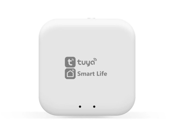 WI-FI конвертер Ambrella Light GL1920 TRACK SYSTEM